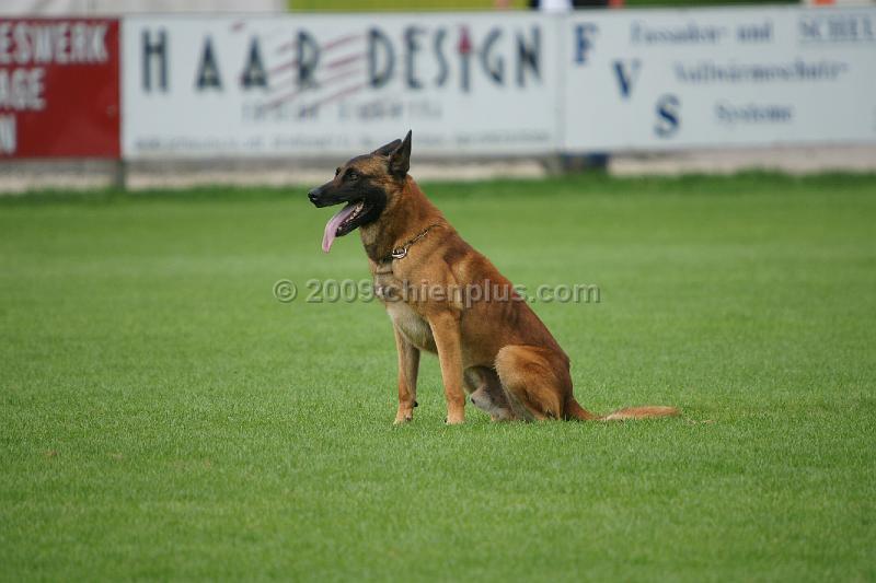 VIP des Loups Mutins933.JPG